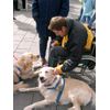 DSCN5525.jpg [57 KB]
