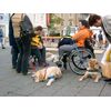 DSCN5531.jpg [50 KB]