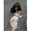 DSCN5532.jpg [46 KB]