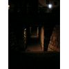 105_0590.jpg [27 KB]