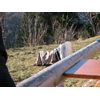 106_0618.jpg [54 KB]
