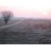 IMG_1527.jpg [28 KB]