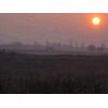IMG_1529.jpg [17 KB]